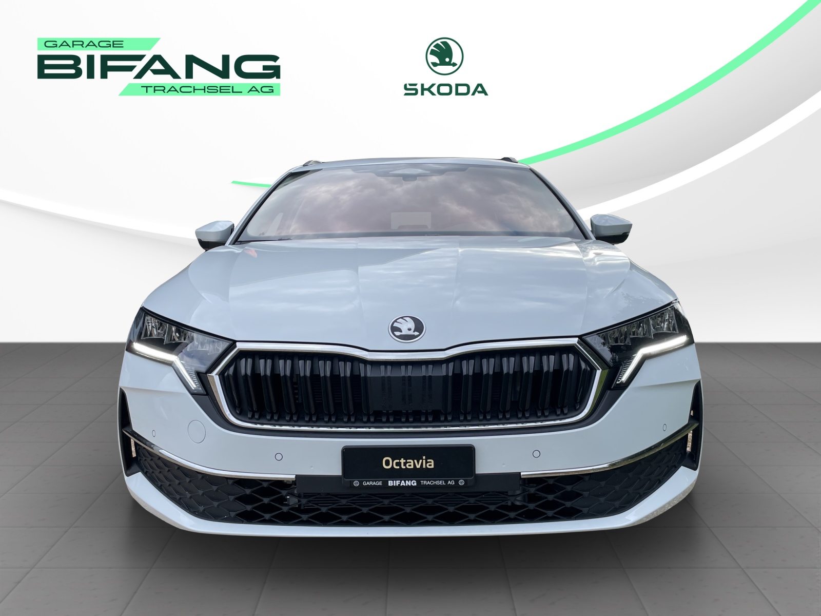 SKODA Octavia Selection, Benzina, Auto dimostrativa, Automatico - 2