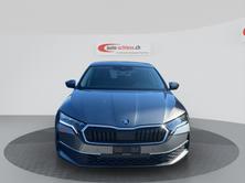 SKODA OCTAVIA, Essence, Occasion / Utilisé, Automatique - 2