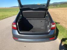 SKODA Rapid Spaceback 1.0 TSI Swiss Line, Benzina, Occasioni / Usate, Manuale - 6