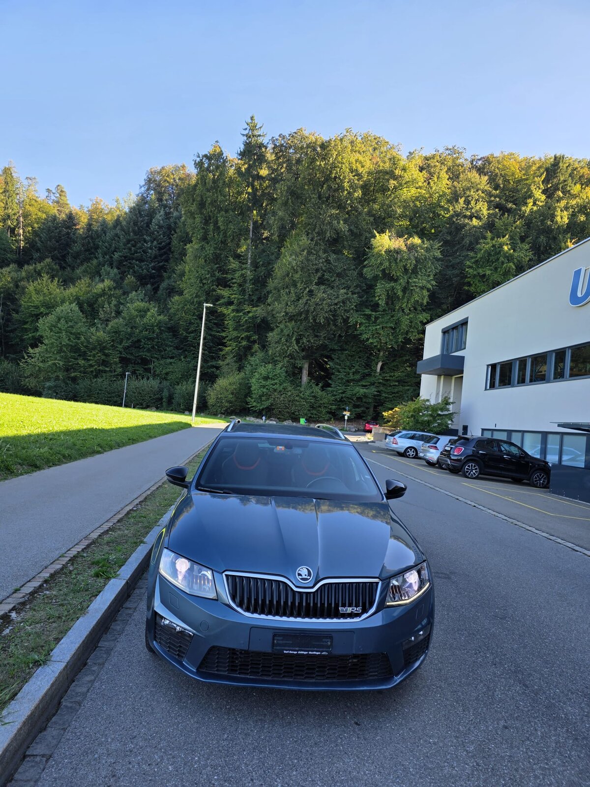 SKODA RS, Diesel, Occasion / Gebraucht, Automatik - 6