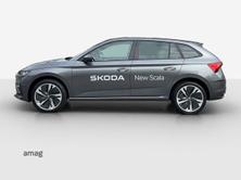 SKODA Scala Selection, Benzina, Auto nuove, Automatico - 2