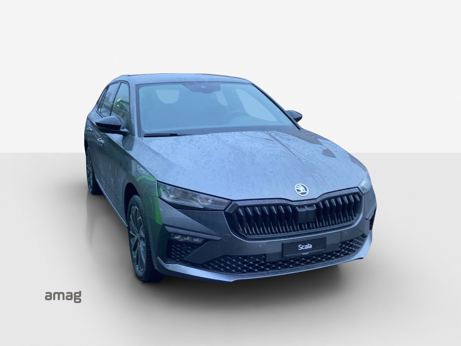 SKODA Scala Dynamic (Netto), Benzin, Neuwagen, Automat - 6