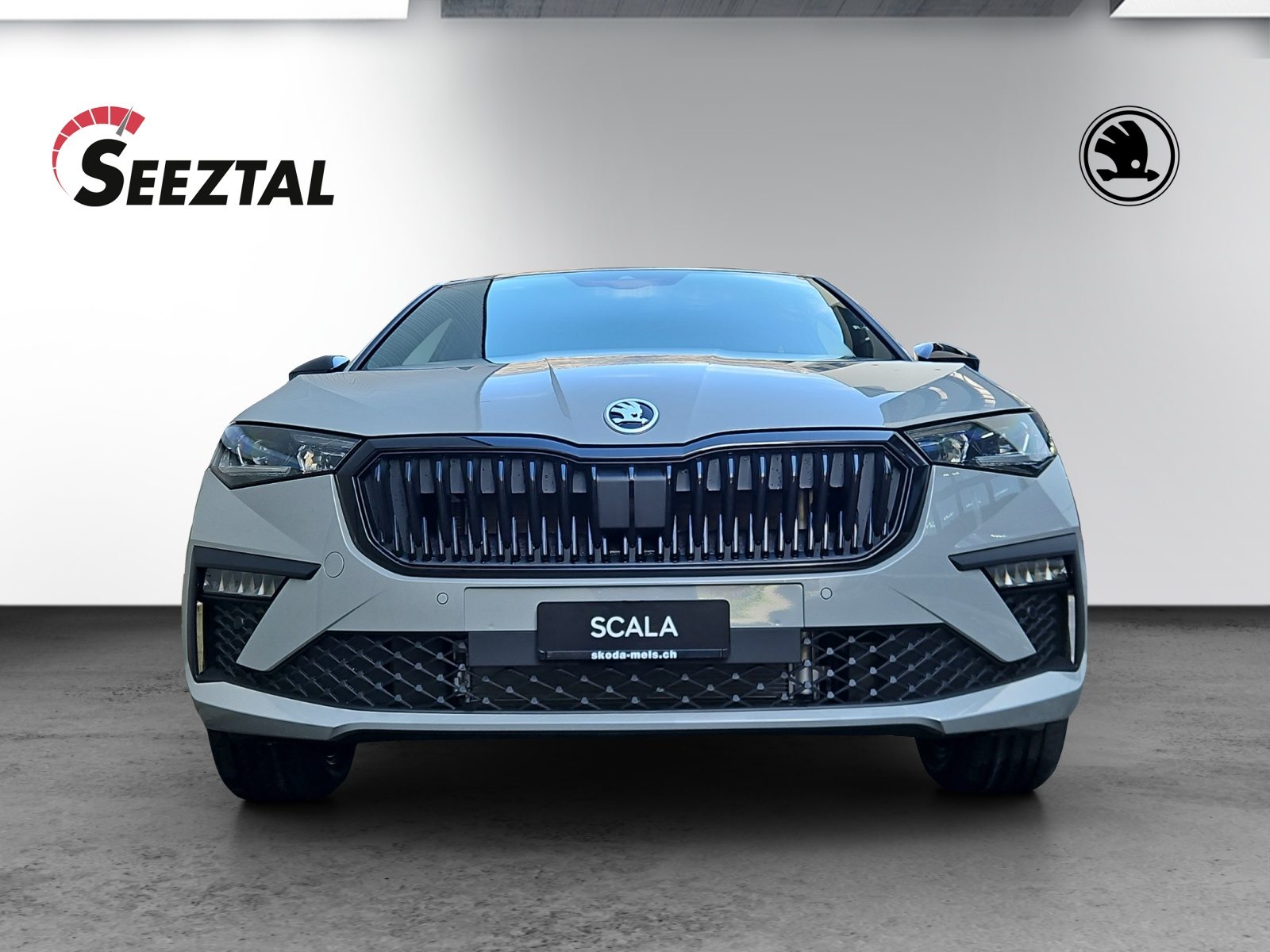 SKODA Scala Dynamic (Netto), Petrol, New car, Automatic - 3