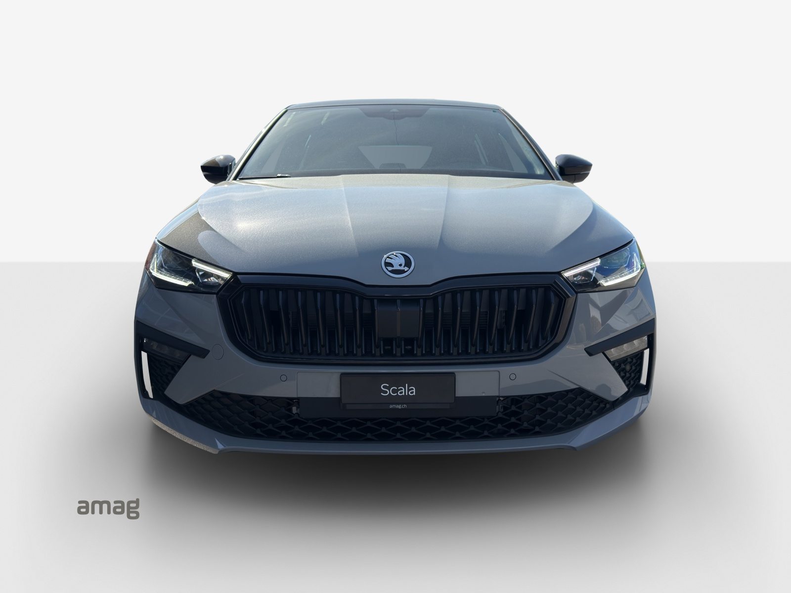 SKODA Scala Dynamic (Netto), Petrol, New car, Automatic - 7