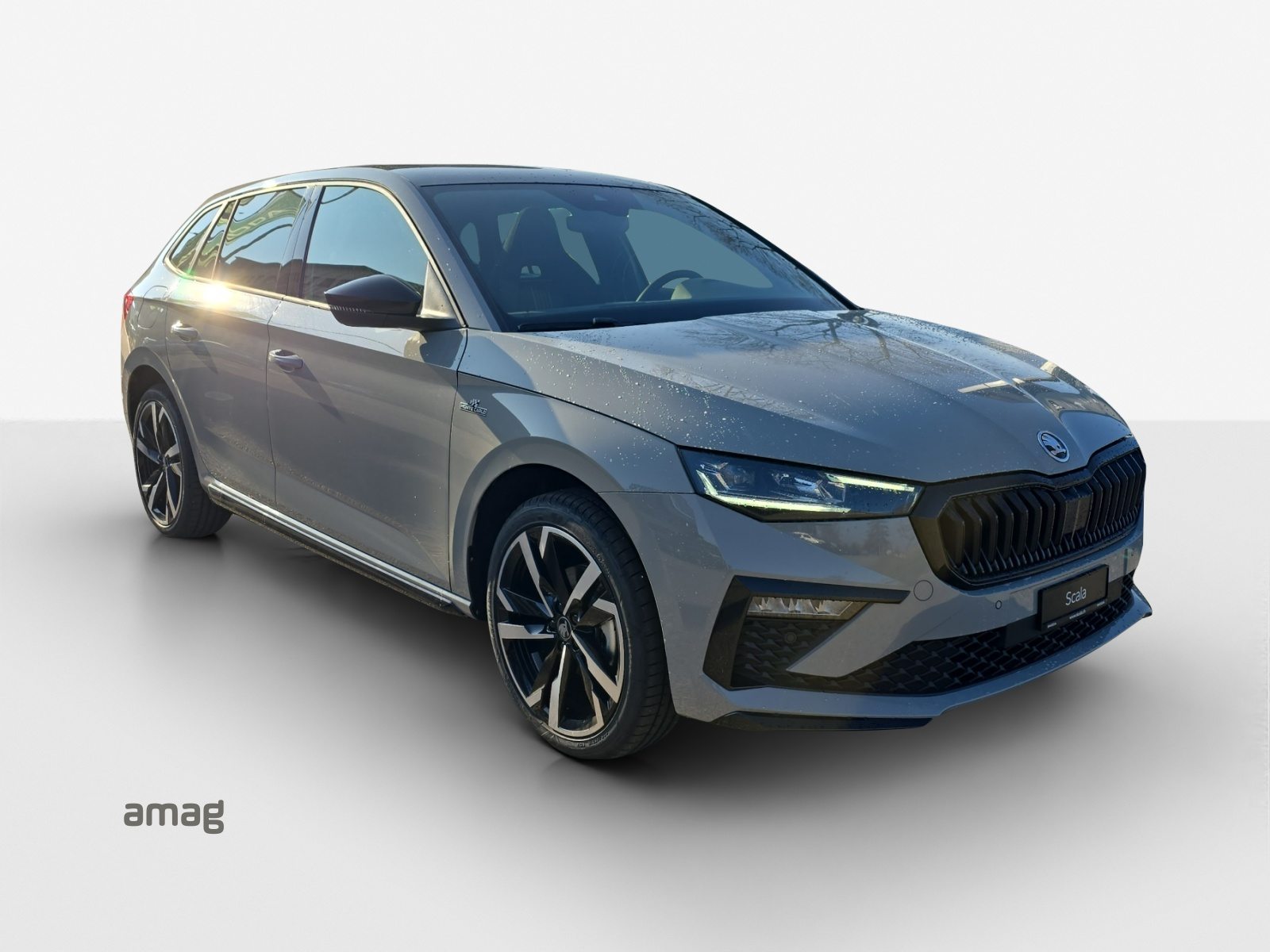 SKODA Scala Monte Carlo, Petrol, Second hand / Used, Automatic - 6