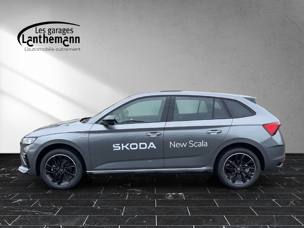 SKODA Scala Monte Carlo, Benzina, Occasioni / Usate, Automatico - 2