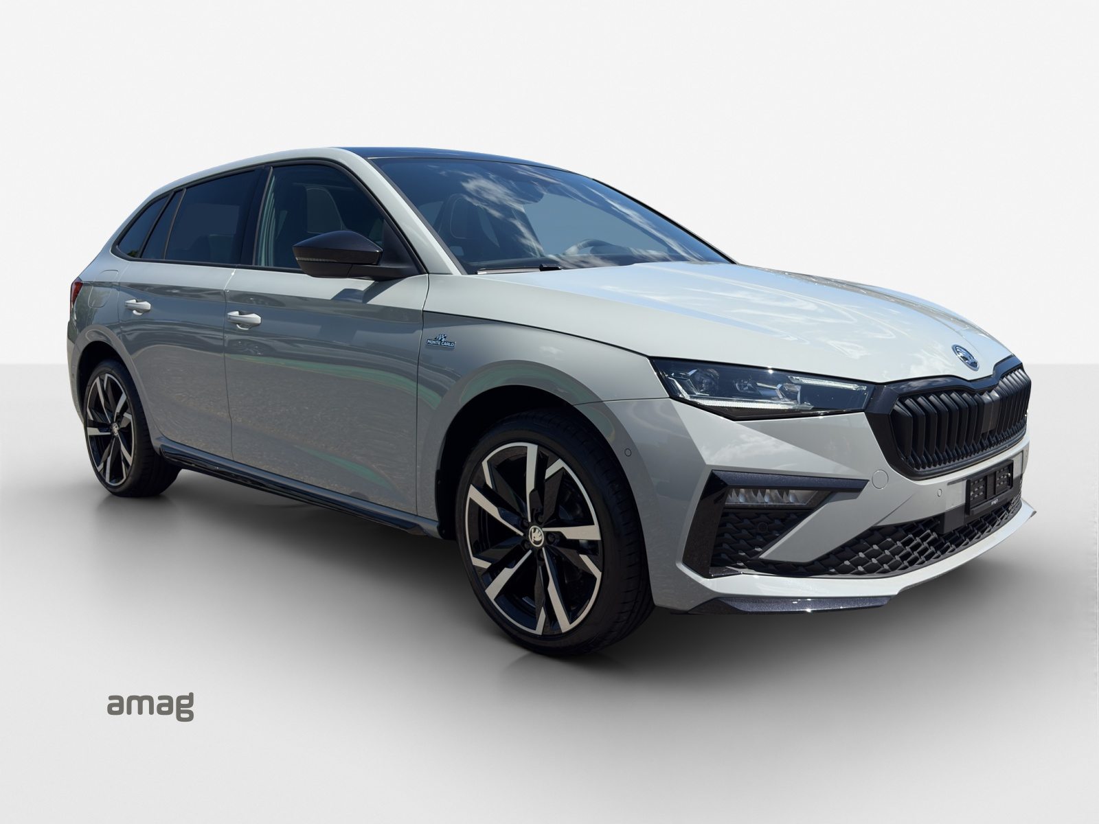 SKODA Scala Monte Carlo, Benzina, Occasioni / Usate, Automatico - 6