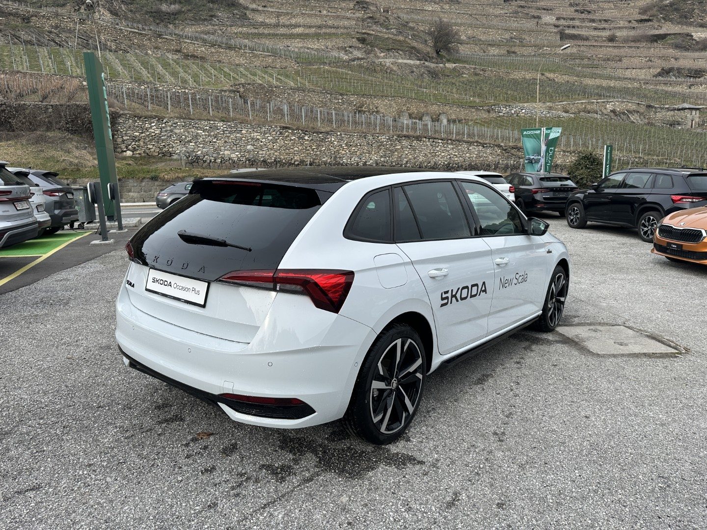 SKODA Scala Monte Carlo, Essence, Occasion / Utilisé, Automatique - 4