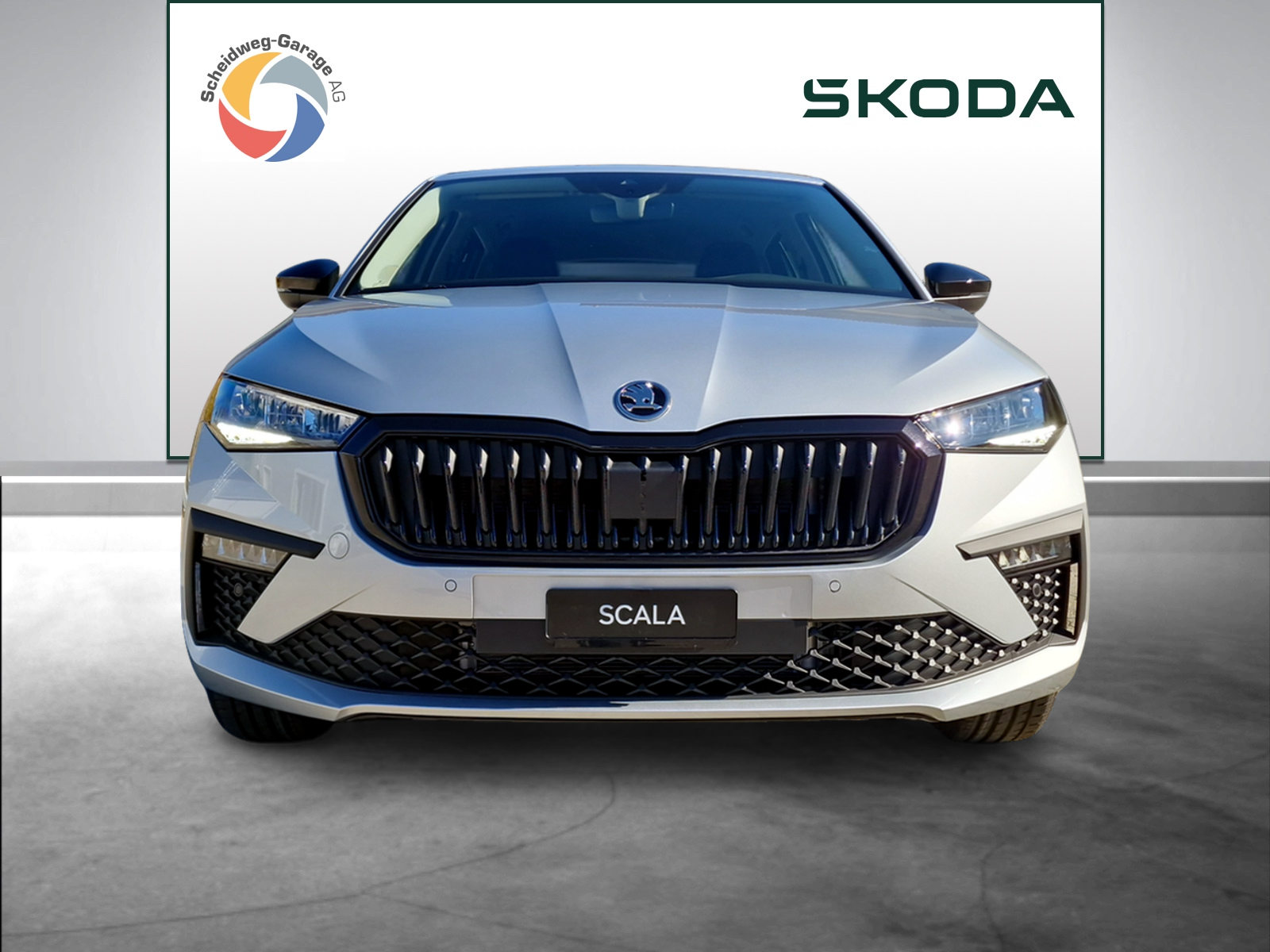 SKODA Scala Selection, Benzina, Occasioni / Usate, Automatico - 2