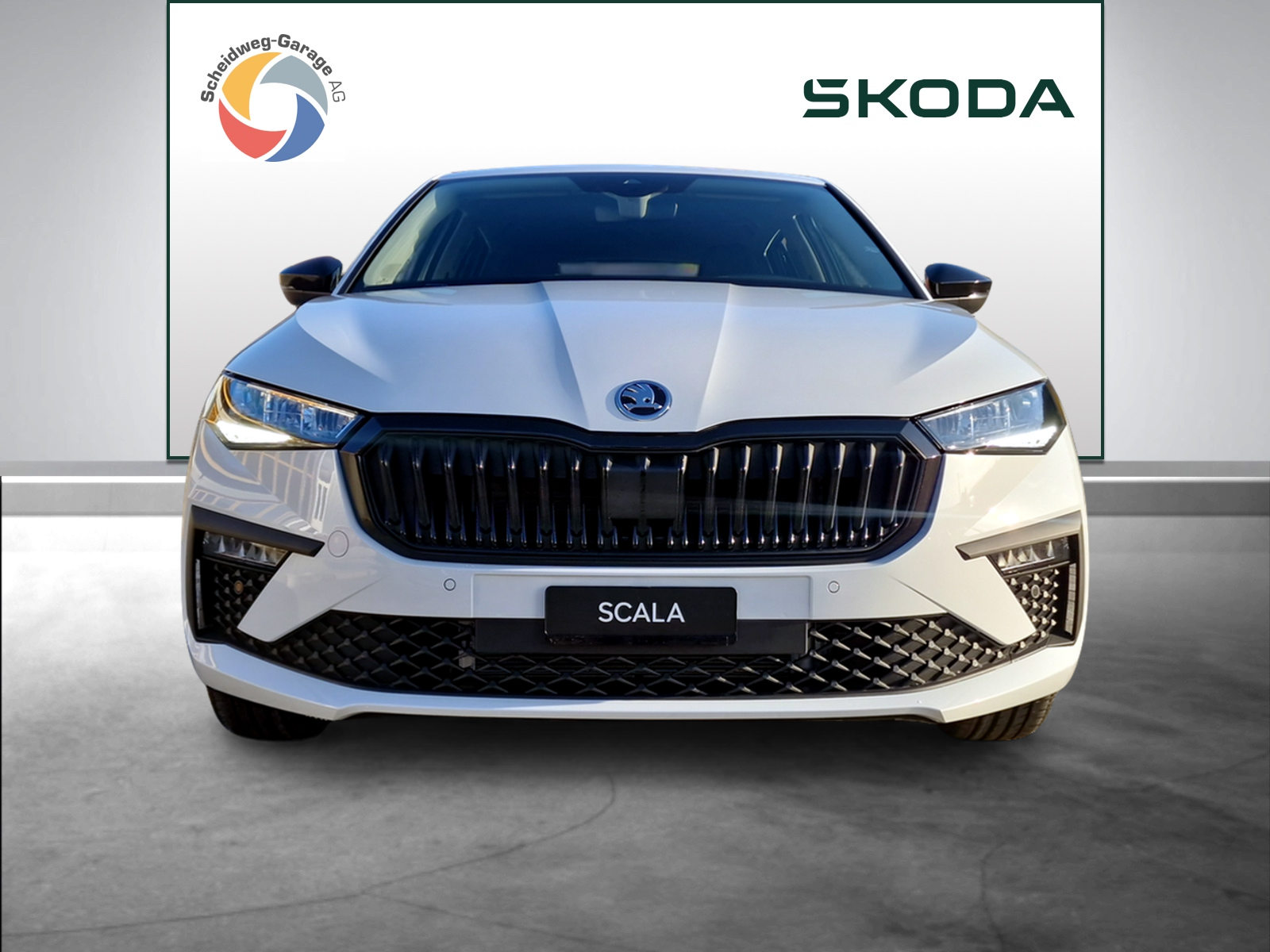 SKODA Scala Selection, Benzina, Occasioni / Usate, Automatico - 2