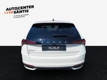 SKODA Scala Dynamic (Netto), Benzina, Occasioni / Usate, Automatico - 5