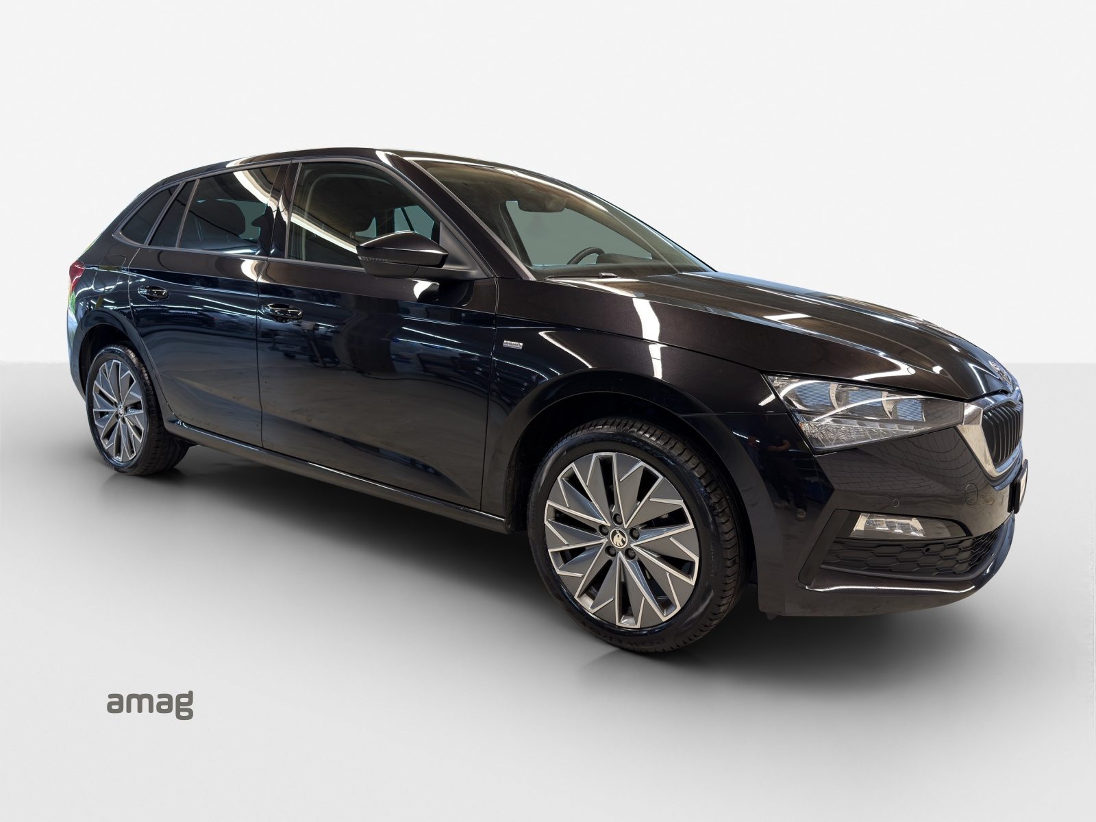 SKODA SCALA «Tour» (NETTO), Benzina, Occasioni / Usate, Automatico - 6