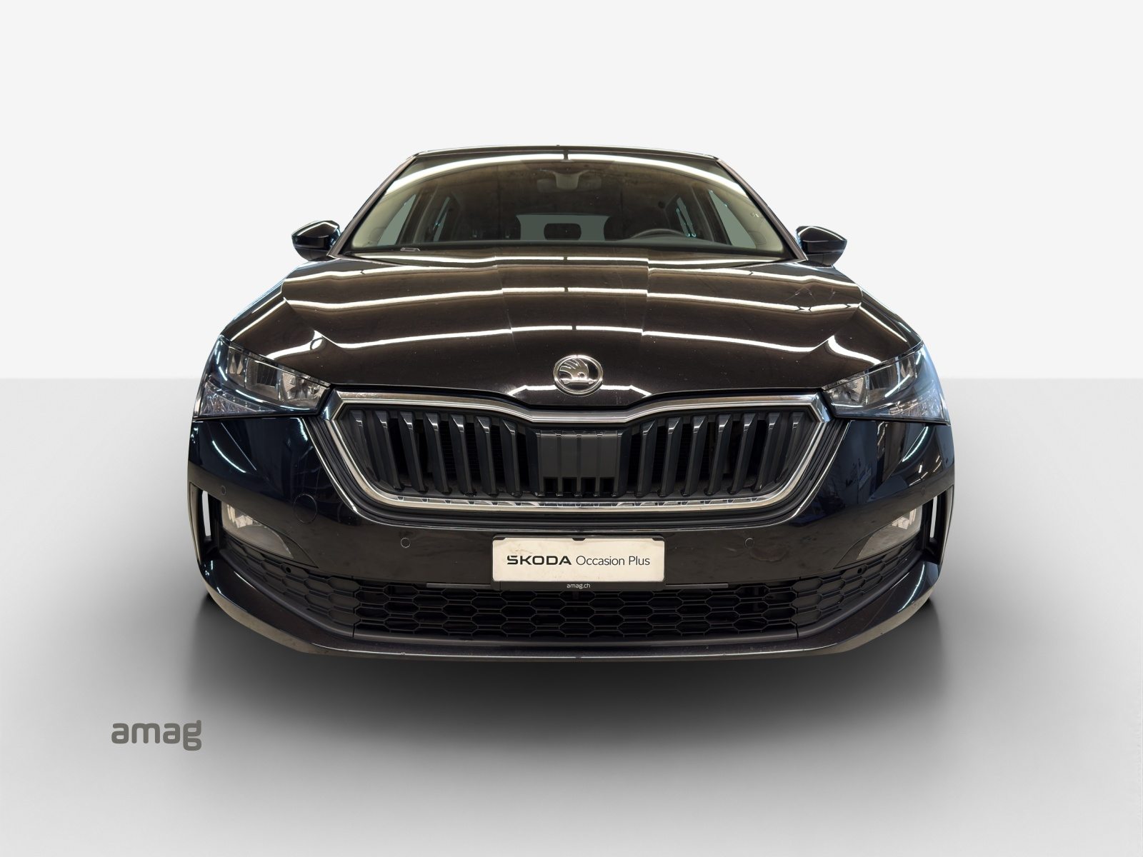 SKODA SCALA «Tour» (NETTO), Benzina, Occasioni / Usate, Automatico - 7