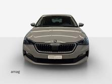 SKODA SCALA Ambition, Benzina, Occasioni / Usate, Automatico - 7