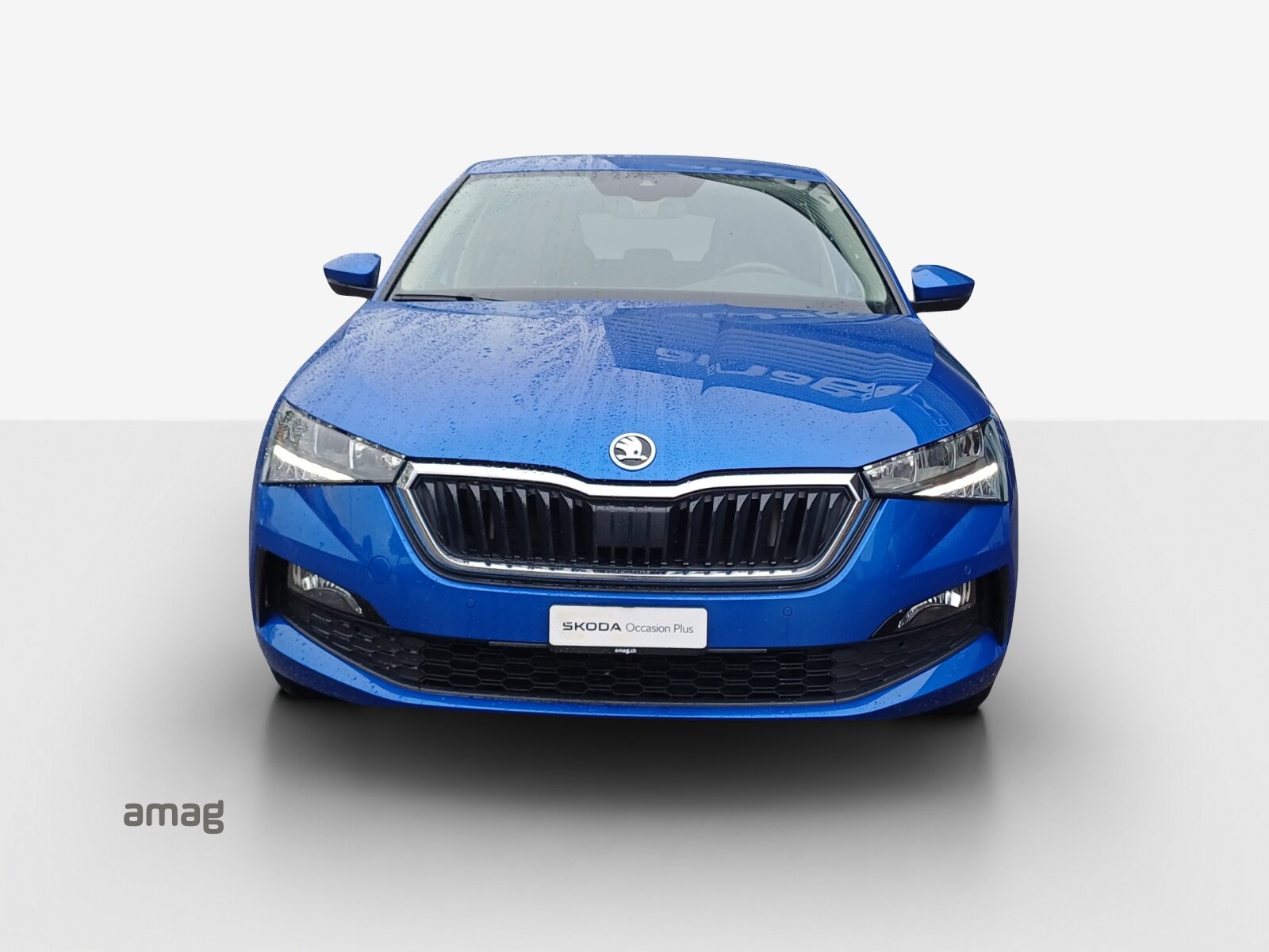SKODA Scala «Tour» (NETTO), Benzina, Occasioni / Usate, Automatico - 7