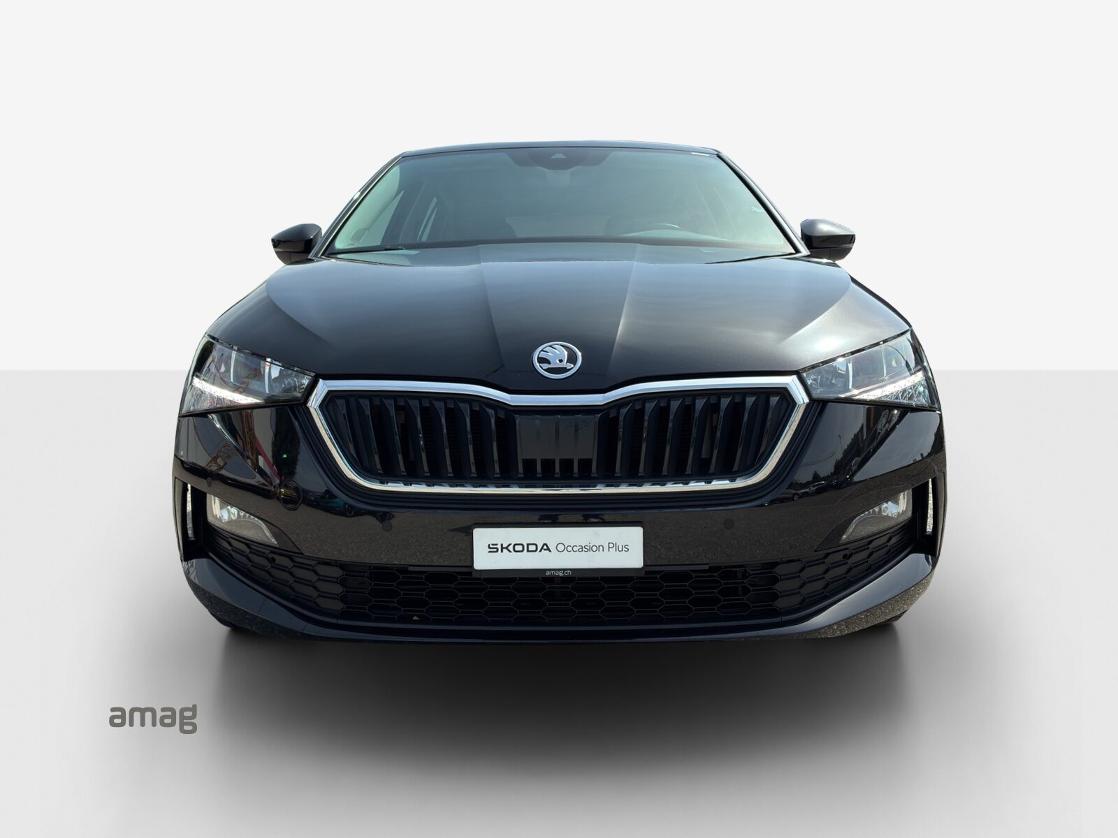 SKODA Scala «Tour» (NETTO), Benzina, Occasioni / Usate, Automatico - 7