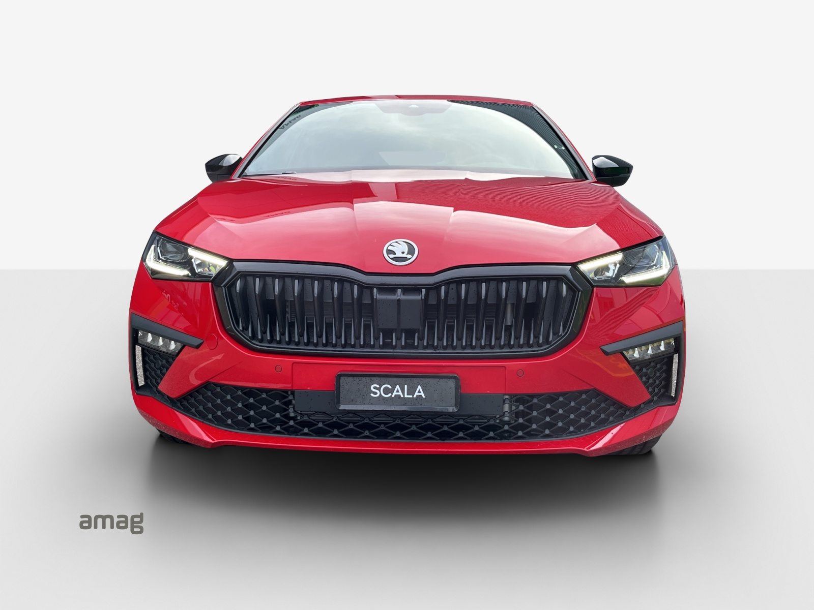 SKODA Scala Dynamic (Netto), Benzina, Auto dimostrativa, Automatico - 7