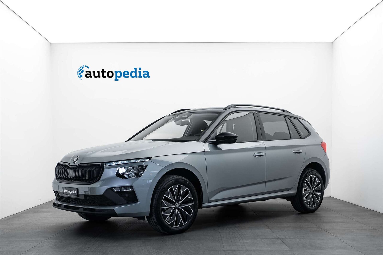 SKODA Skoda Kamiq 1.0 TSi Selection Black DSG-Automat