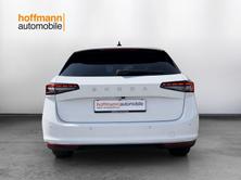 SKODA Superb L&K, Benzina, Auto nuove, Automatico - 5