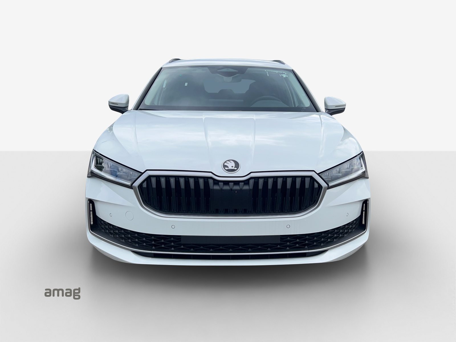 SKODA Superb Selection, Diesel, Occasioni / Usate, Automatico - 5