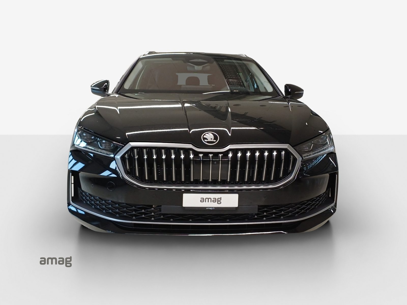 SKODA Superb L&K, Benzina, Occasioni / Usate, Automatico - 7