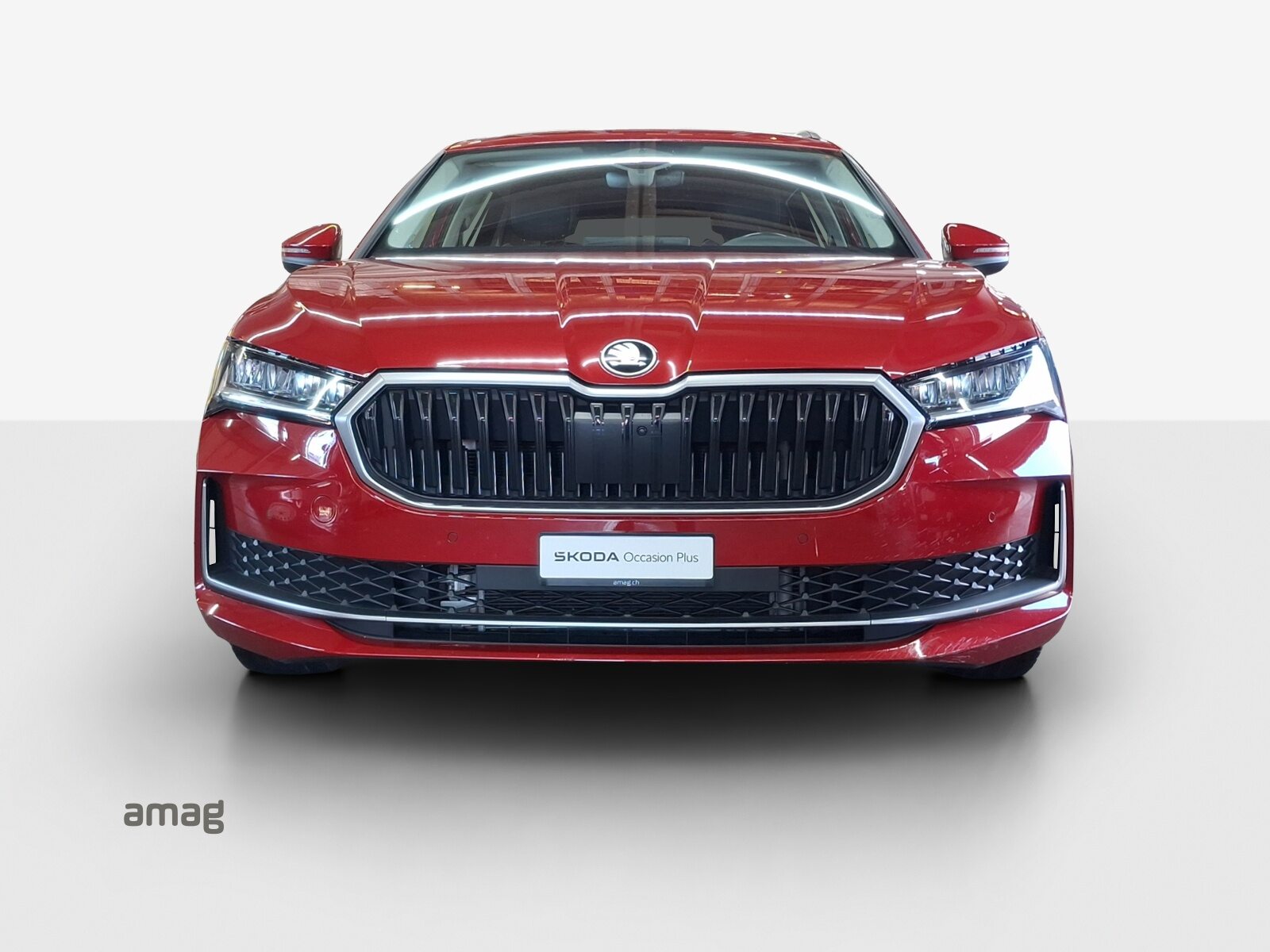 SKODA Superb Selection, Diesel, Occasioni / Usate, Automatico - 7