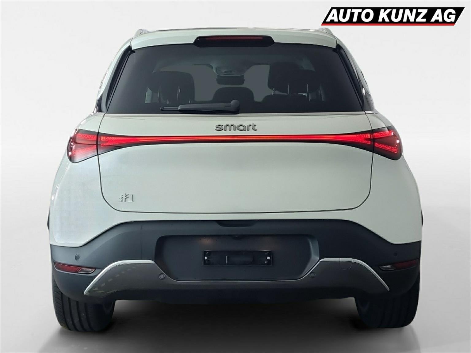 SMART #1 66 kWh Pulse AWD, Elettrica, Auto nuove, Automatico - 4