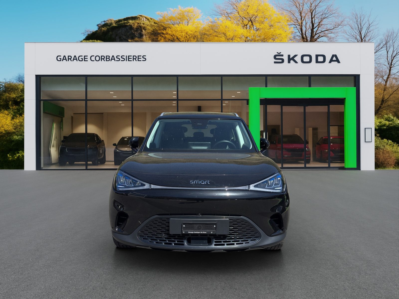 SMART #1 66kWh Pro+