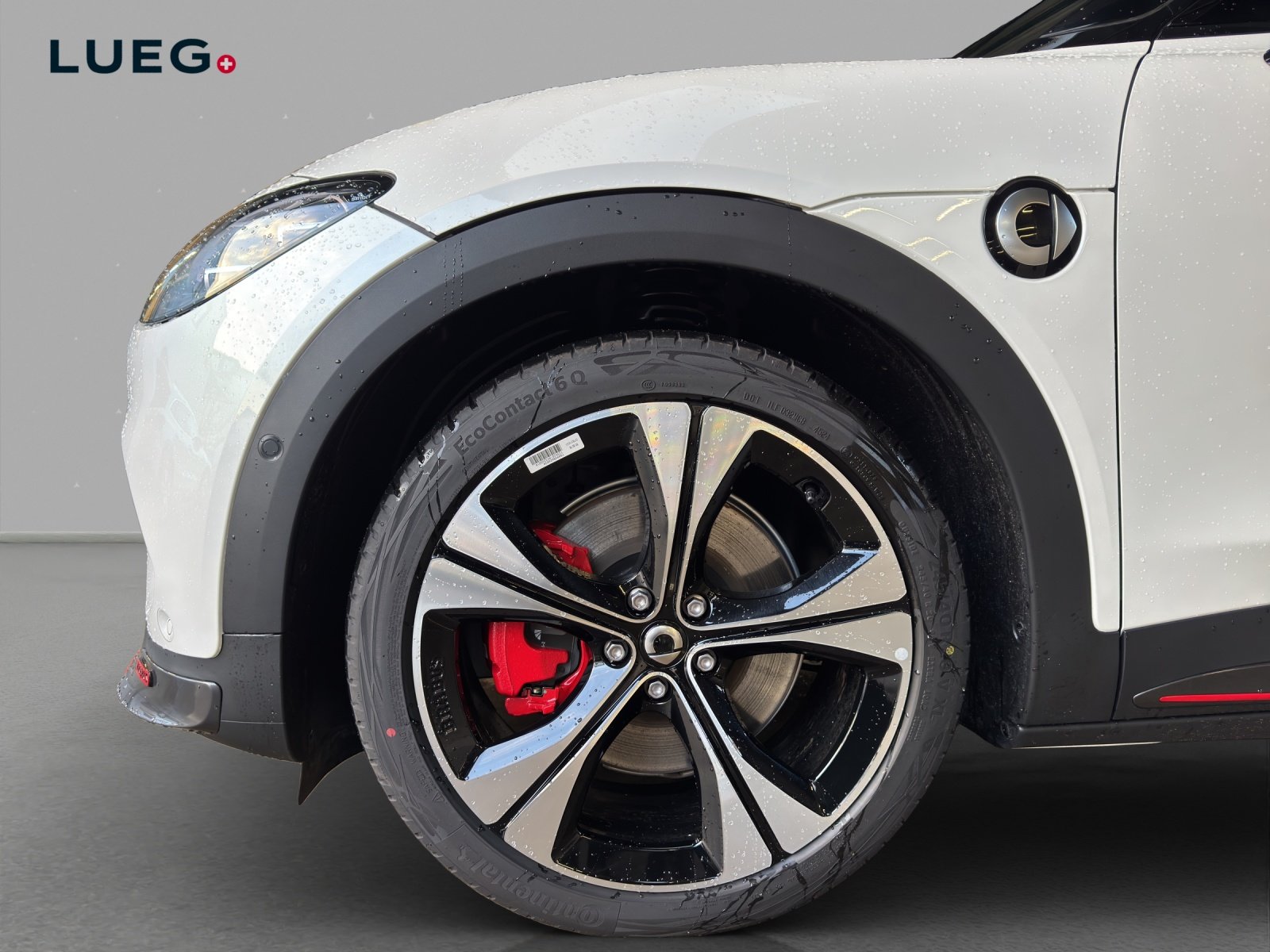 SMART 3 66kWh BRABUS, Elettrica, Auto dimostrativa, Automatico - 6