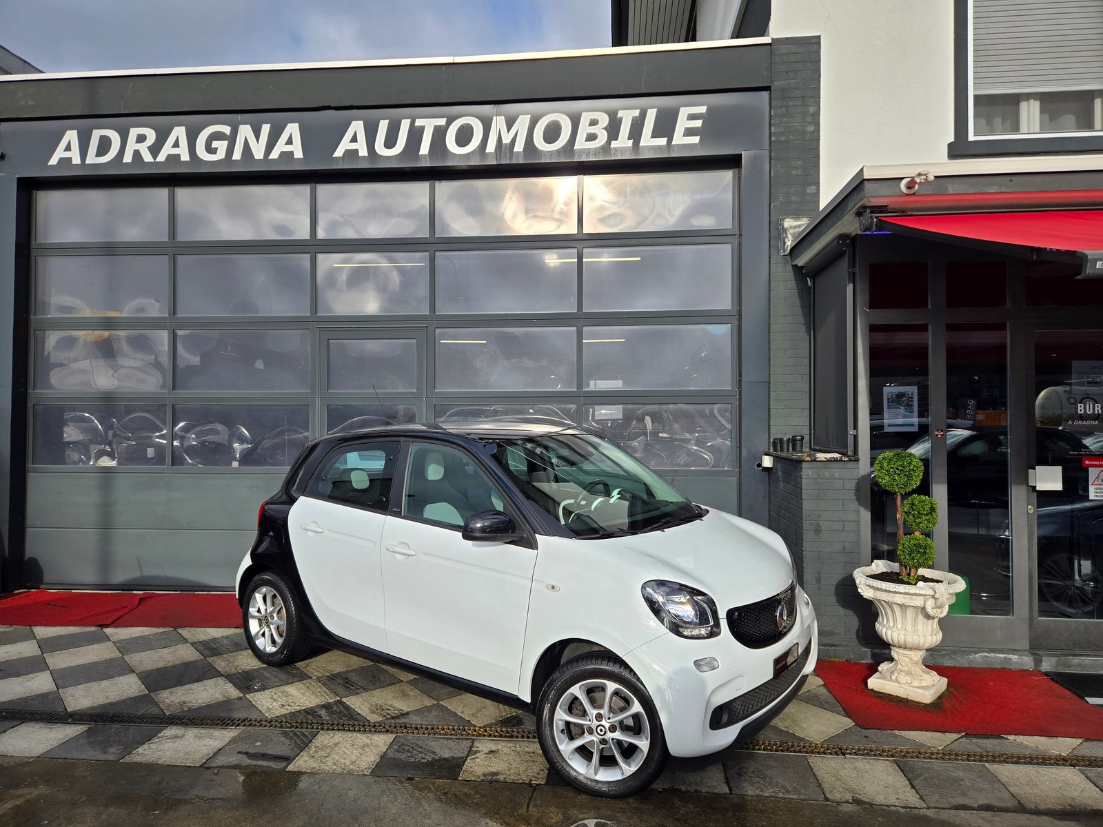 SMART forfour proxy twinamic, Essence, Occasion / Utilisé, Automatique - 4