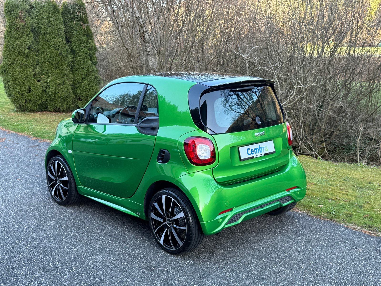 SMART Fortwo Brabus Style Tailor Made, Benzin, Occasion / Gebraucht, Automatik - 3
