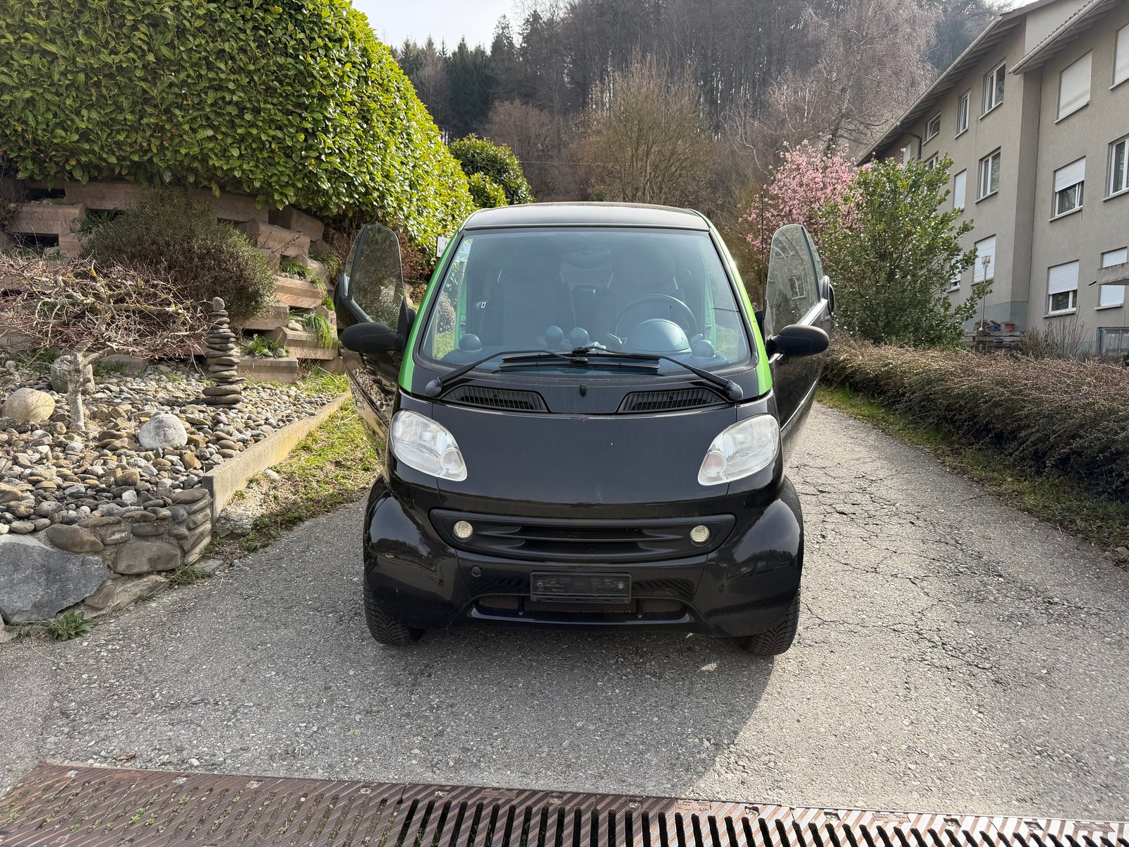 SMART fortwo pulse