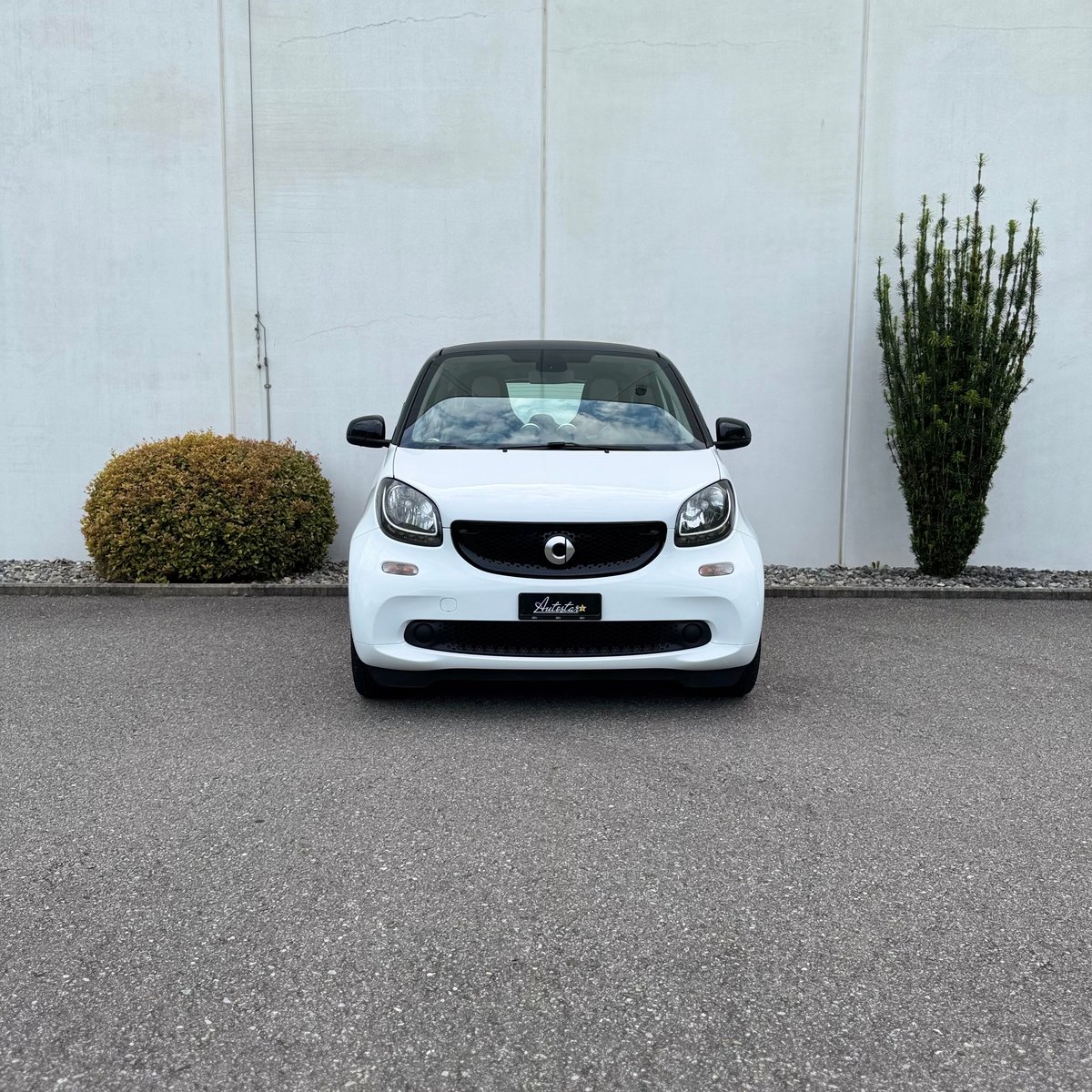 SMART fortwo passion twinmatic, Benzina, Occasioni / Usate, Automatico - 2