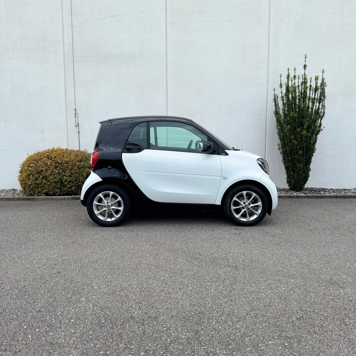 SMART fortwo passion twinmatic, Benzina, Occasioni / Usate, Automatico - 3
