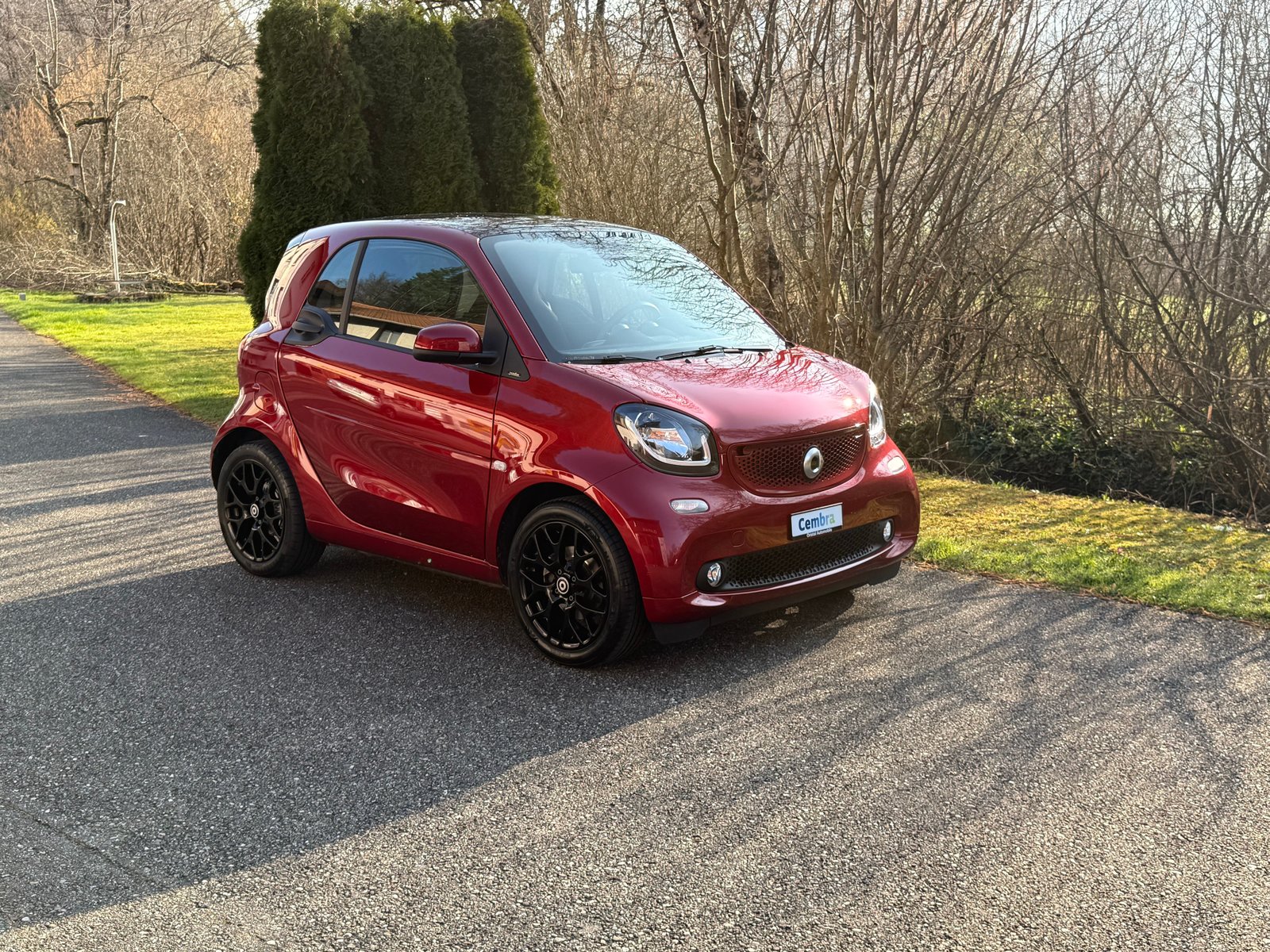 SMART fortwo passion twinmatic, Essence, Occasion / Utilisé, Automatique - 5