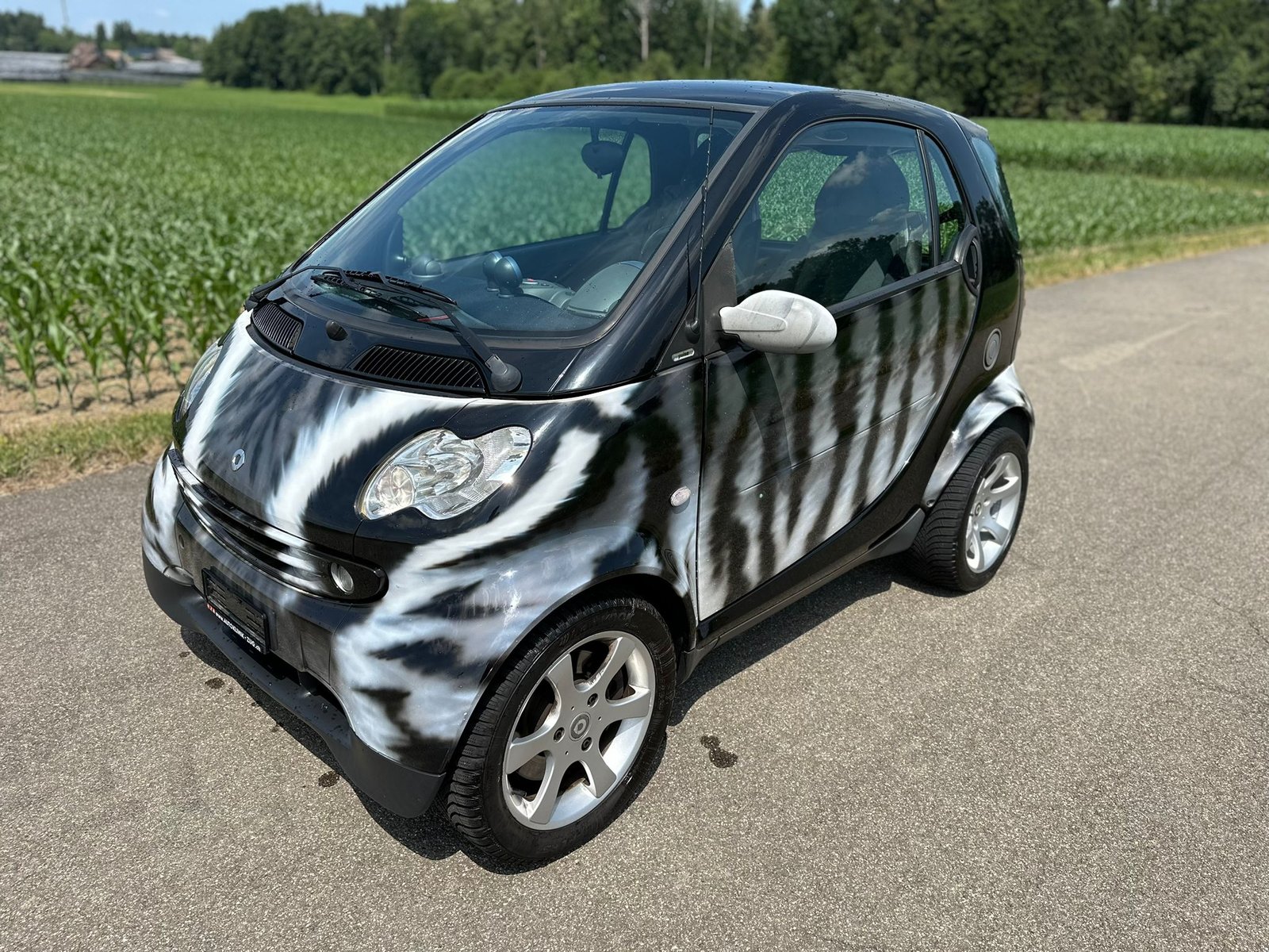 SMART fortwo passion, Benzina, Occasioni / Usate, Automatico - 2