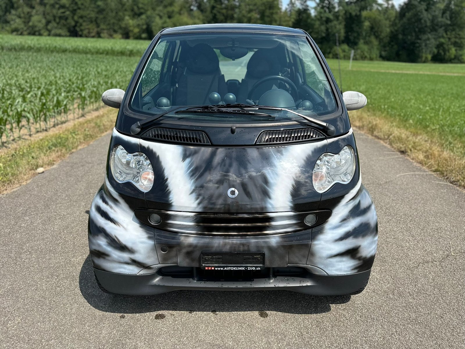 SMART fortwo passion, Benzina, Occasioni / Usate, Automatico - 3
