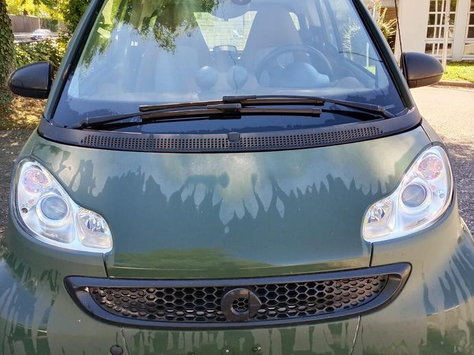 SMART fortwo pure mhd softouch, Benzin, Occasion / Gebraucht, Automatik