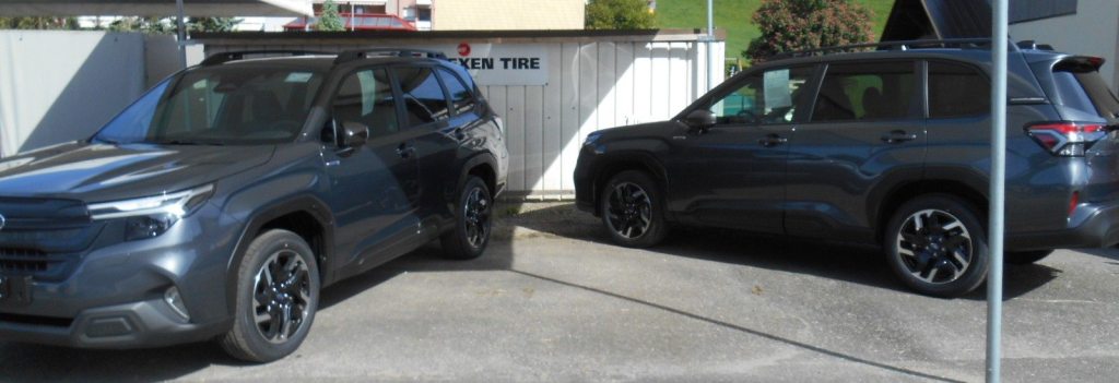 SUBARU FORESTER 2.0i S-Plus Aut., Hybride Leggero Benzina/Elettrica, Auto a km zero, Automatico - 3