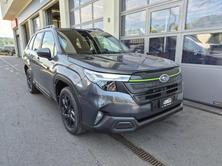 SUBARU Forester Station 2.0i e-Boxer Sport, Hybride Léger Essence/Électricité, Voiture nouvelle, Automatique - 4