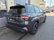 SUBARU Forester Station 2.0i e-Boxer Sport, Hybride Léger Essence/Électricité, Voiture nouvelle, Automatique - 7