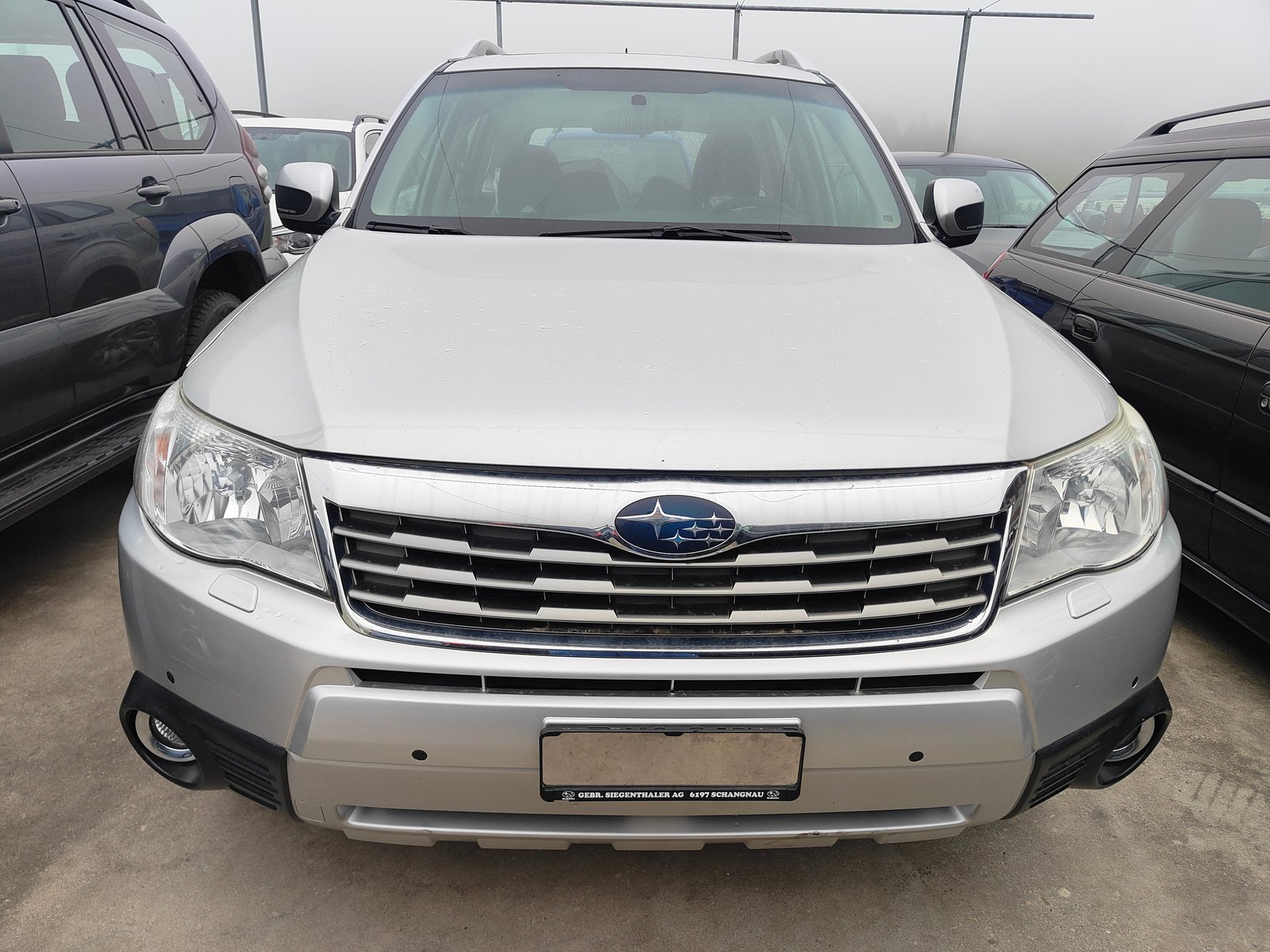SUBARU Forester 2.5XS Special Edition Automatic, Benzin, Occasion / Gebraucht, Automatik - 5
