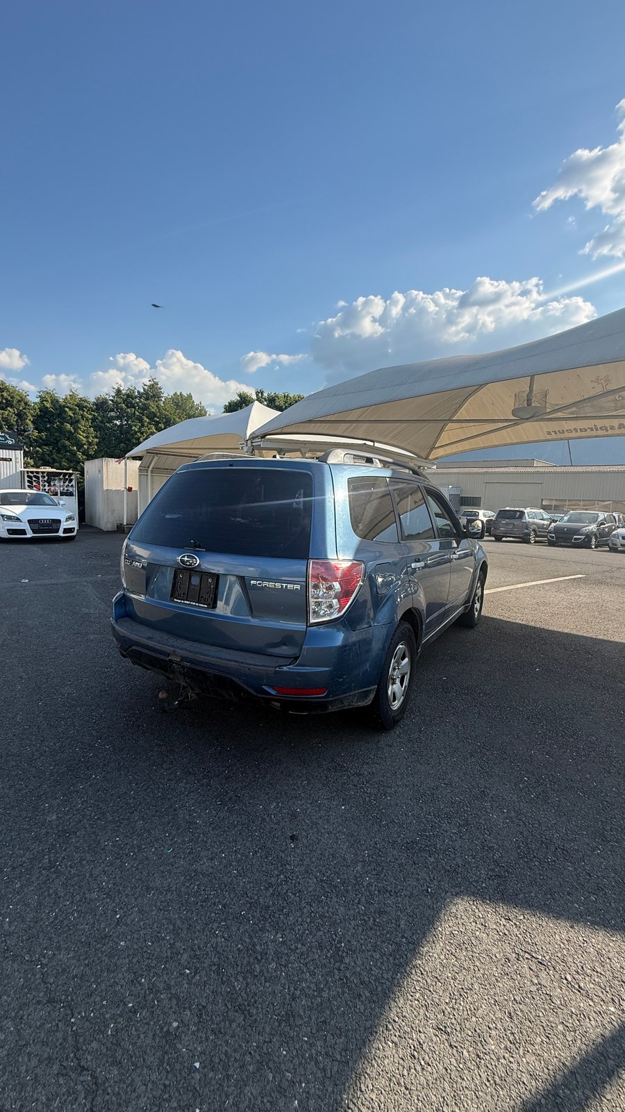 SUBARU Forester 2.0X Swiss Automatic, Petrol, Second hand / Used, Automatic - 7