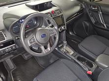 SUBARU Forester Station 2.0 Swiss, Benzina, Occasioni / Usate, Automatico - 7