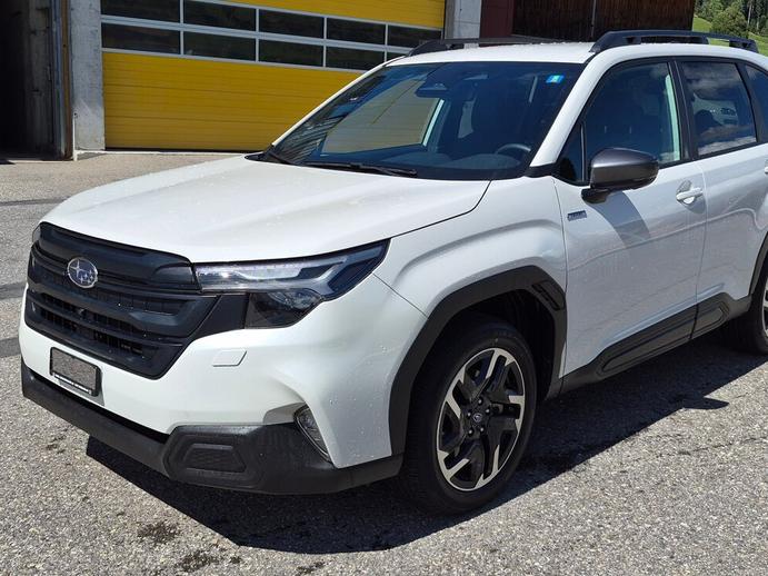 SUBARU Forester 2.0i e-Boxer Swiss Plus Lineartronic, Hybride Integrale Benzina/Elettrica, Occasioni / Usate, Automatico