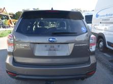 SUBARU Forester 2.0i Executive Lineartronic, Benzin, Occasion / Gebraucht, Automatik - 2