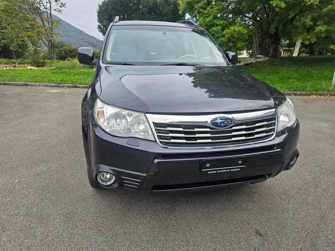 SUBARU Forester 2.0XS Limited, Essence, Occasion / Utilisé, Manuelle