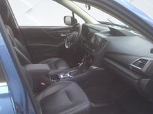 SUBARU Forester 2.0i e-Boxer Luxury Lineartronic, Voll-Hybrid Benzin/Elektro, Occasion / Gebraucht, Automatik - 5