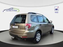 SUBARU Forester 2.0XS Comfort, Benzina, Occasioni / Usate, Manuale - 7