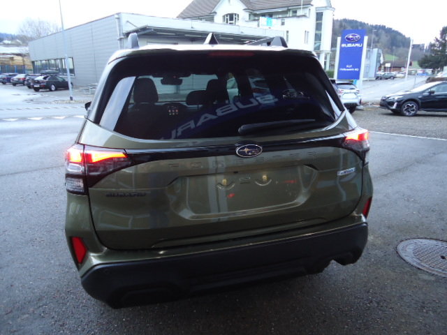 SUBARU Forester Station 2.0i e-Boxer Swiss Plus, Hybride Leggero Benzina/Elettrica, Auto dimostrativa, Automatico - 4